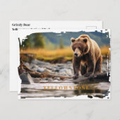 Carte postale de l'ours grizzli de Yellowstone (Devant / Derrière)