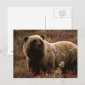 Carte postale de l'ours grizzly de Washington (Devant / Derrière)