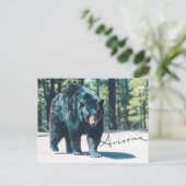 Carte postale de l'ours noir (Debout devant)