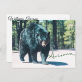 Carte postale de l'ours noir (Devant / Derrière)