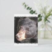 Carte postale de l'ours noir (Debout devant)
