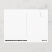 Carte postale de l'ourson noir (Dos)