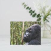 Carte postale de Lowland Gorilla (Debout devant)