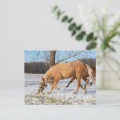 Carte postale de Lugos à retirer (Debout devant)