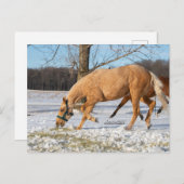 Carte postale de Lugos à retirer (Devant / Derrière)