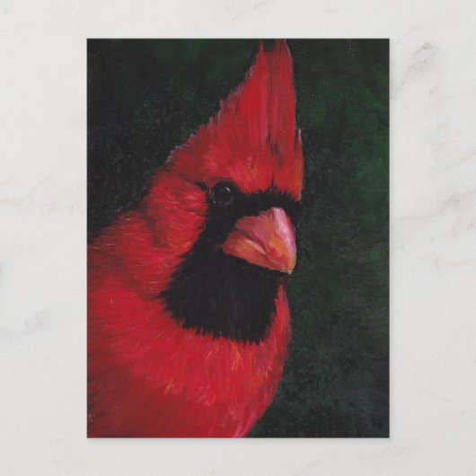Carte postale de M. Red Cardinal Bird Art (Devant)