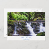 Carte postale de Madère - Levada do Rei avec texte (Devant / Derrière)