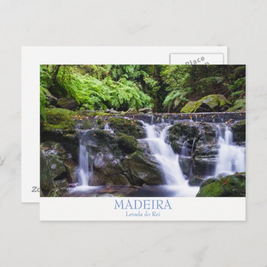 Carte postale de Madère - Levada do Rei avec texte (Devant / Derrière)
