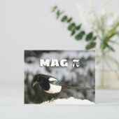 Carte postale de Magpi (Debout devant)