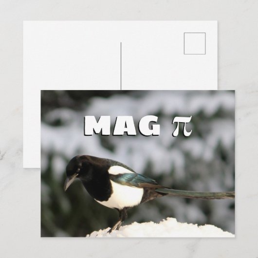 Carte postale de Magpi (Devant / Derrière)