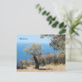 Carte postale de Majorque (Debout devant)