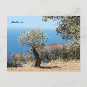 Carte postale de Majorque