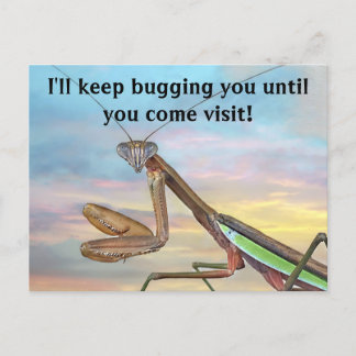 Carte postale de Mantis