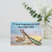 Carte postale de Mantis (Debout devant)