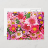 Carte postale de marais roses (Devant / Derrière)