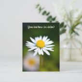 Carte postale de marguerite (Debout devant)