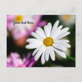 Carte postale de Marguerite Blanche Simple (Devant)