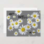 Carte postale de marguerites blanches couleur pers (Devant / Derrière)