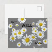 Carte postale de marguerites blanches de couleur p (Devant / Derrière)