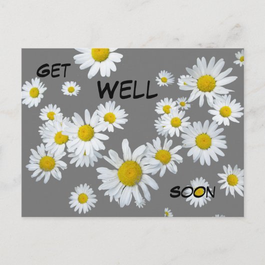 Carte postale de marguerites blanches de couleur p (Devant)