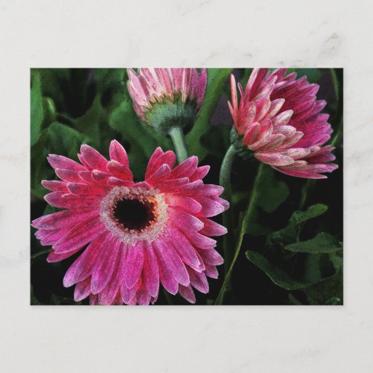 Carte postale de marguerites peintes (Devant)