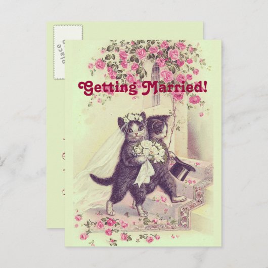 Carte postale de mariage pour chats à sauvegarder (Devant / Derrière)