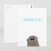 Carte postale de marmotte qui pense à vous (Devant / Derrière)