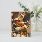 Carte postale de marronnier d'Inde (Debout devant)