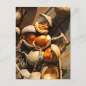 Carte postale de marronnier d'Inde (Devant)