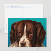 Carte postale de Max le gros chien (Devant / Derrière)