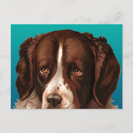Carte postale de Max le gros chien (Devant)