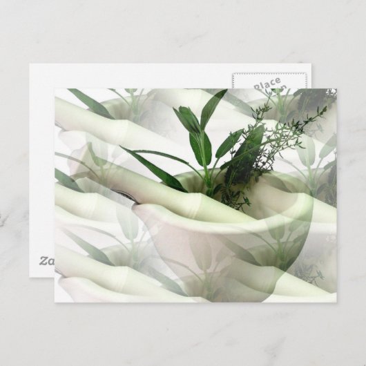 Carte postale de médecine alternative (Devant / Derrière)