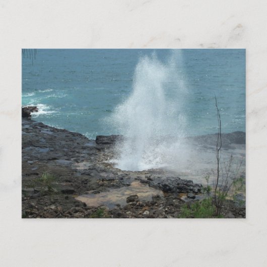 Carte postale de médisance de klaxon (Devant)