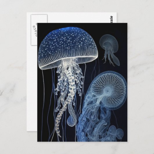 Carte postale de méduse (Devant / Derrière)