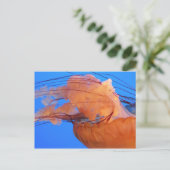 Carte postale de méduse de natation (Debout devant)