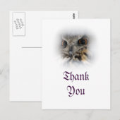 Carte postale de Merci d'aigle eurasien (Devant / Derrière)