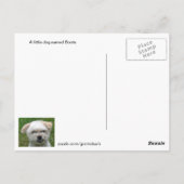 Carte postale de mignon Chien 3 (Dos)