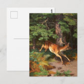 Carte Postale De Mignonne Cerf Rouge Dans La Forêt (Devant / Derrière)