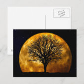 Carte postale de minuit Pleine lune (Devant / Derrière)