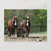 Carte postale de mise à jour (Devant)