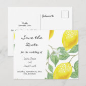 Carte postale de mise en demeure de feuilles d'aqu (Devant / Derrière)