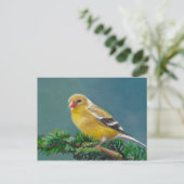 Carte postale de Mme Goldfinch Bird Art (Debout devant)