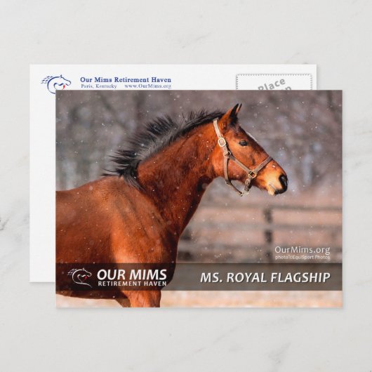 Carte postale de Mme Royal Flagship (Devant / Derrière)