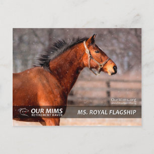 Carte postale de Mme Royal Flagship