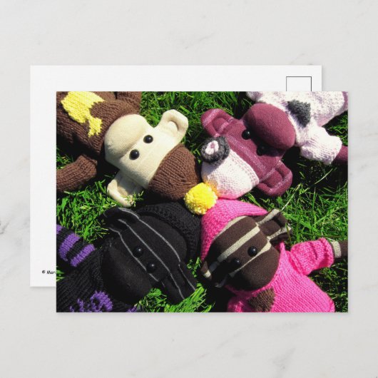 Carte postale de Monkey Sock de Mars (Devant / Derrière)