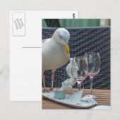 Carte postale de mouettes et de verres vides (Devant / Derrière)