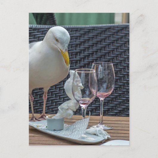 Carte postale de mouettes et de verres vides (Devant)