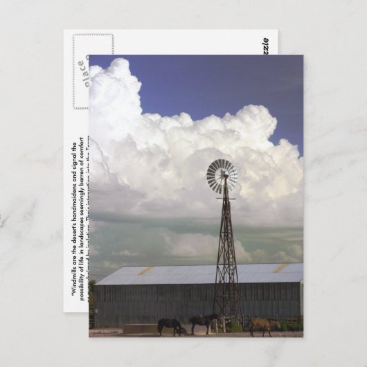 Carte postale de moulin à vent (Devant / Derrière)