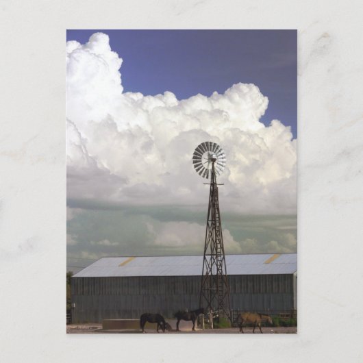 Carte postale de moulin à vent (Devant)