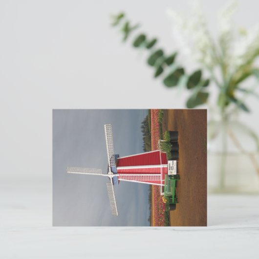 Carte postale de moulin à vent de l'Orégon (Debout devant)